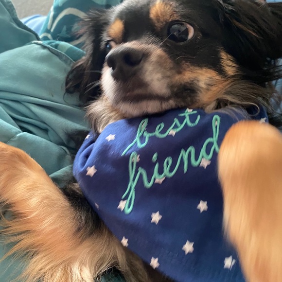 Meet your Posher, Ashley. Instagram: Ashtahfashion - Picture 7 of 7